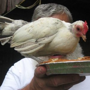 Meet your Posher, Dave